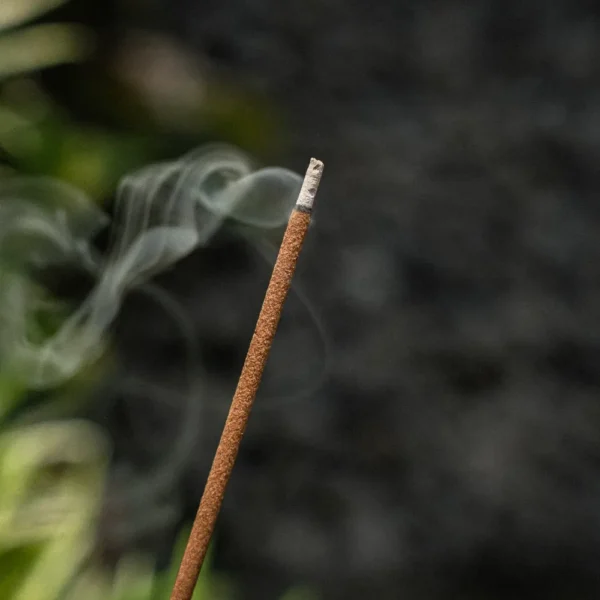 2 Dupa Stik Mawar